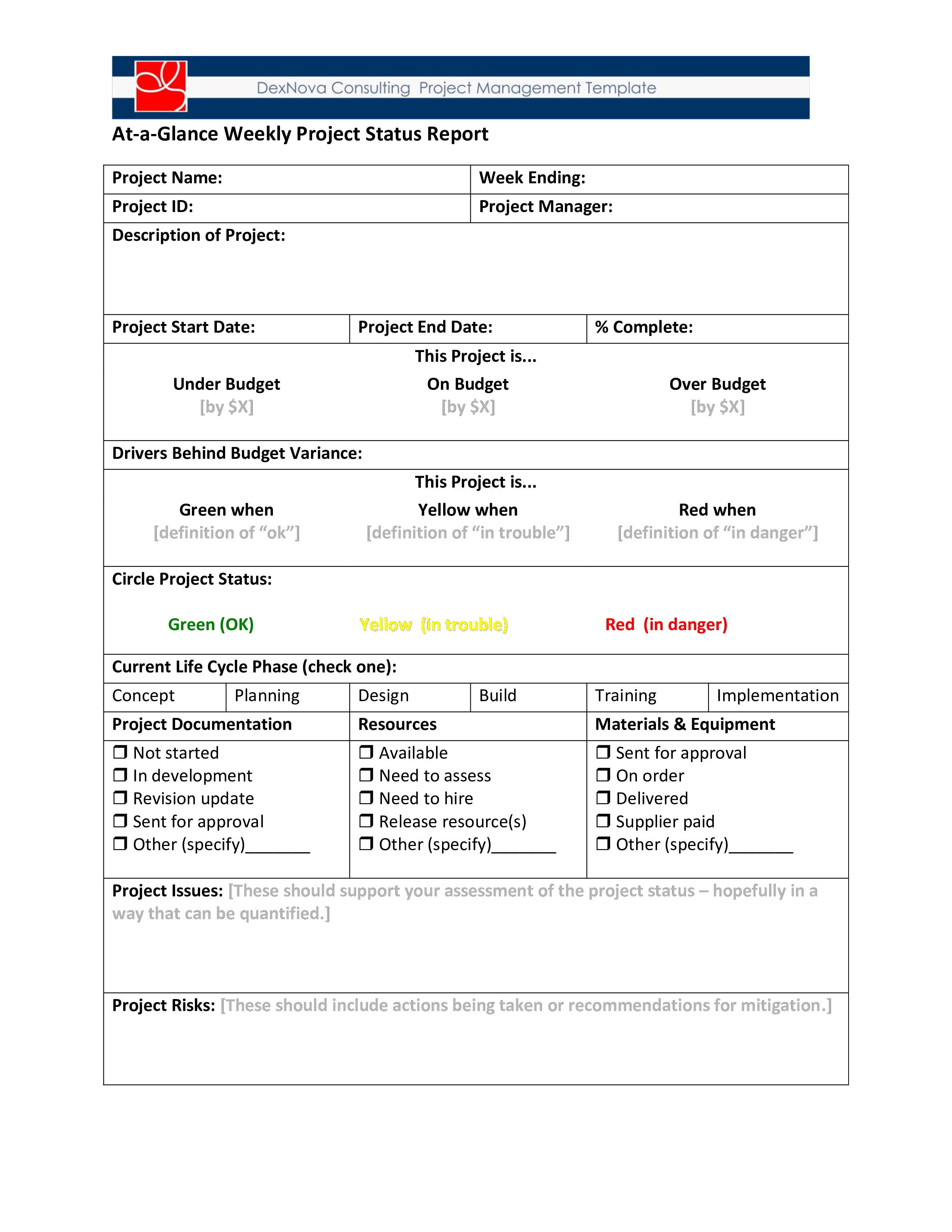 project weekly status report voorbeeld afbeelding 