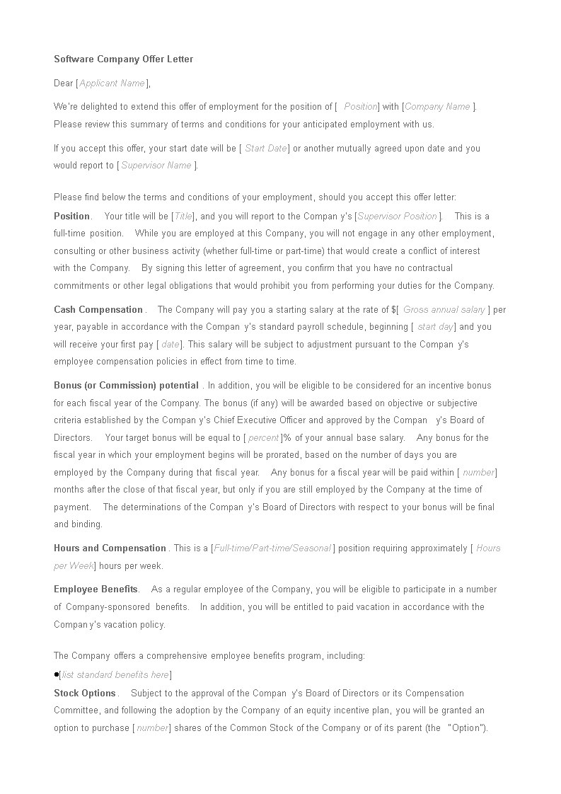 offer letter software company template