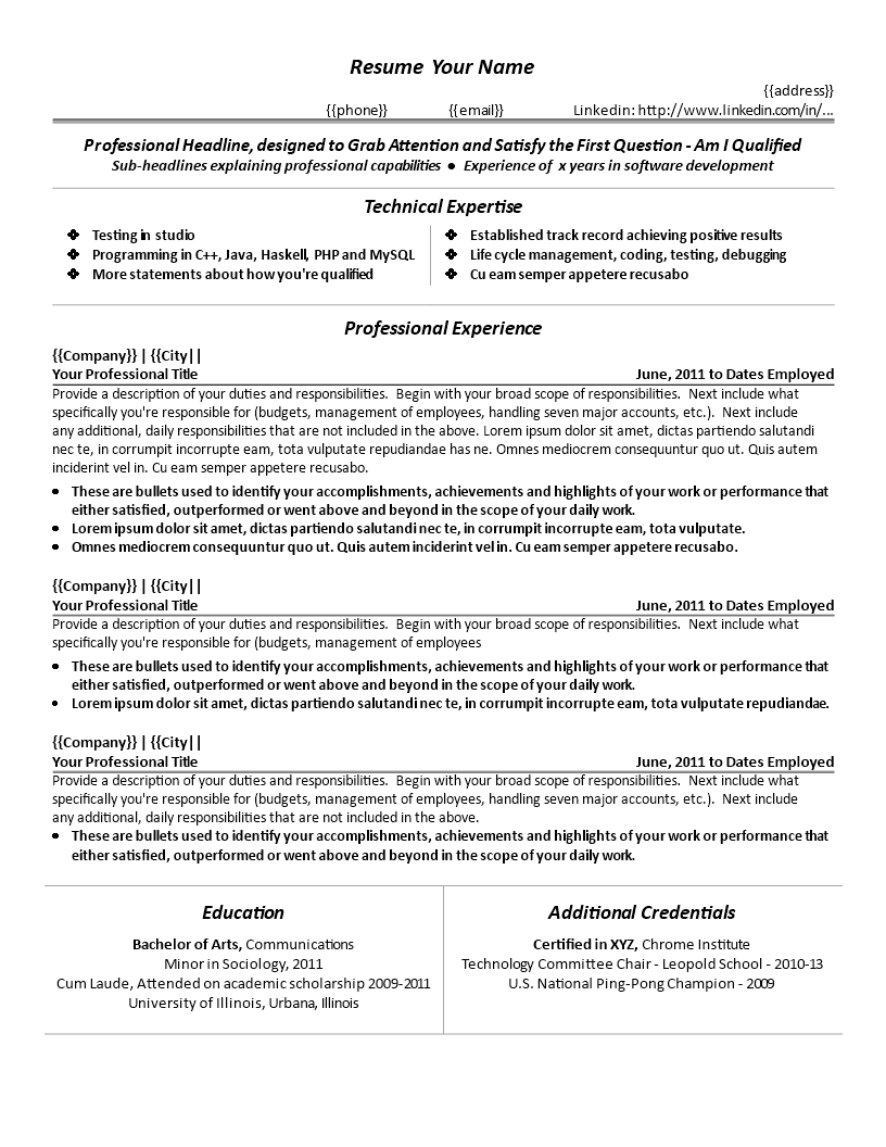 it resume example template