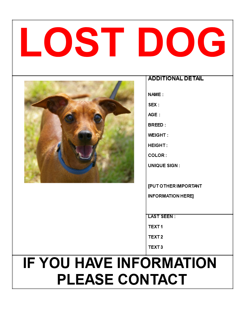 find missing dog poster template letter size template