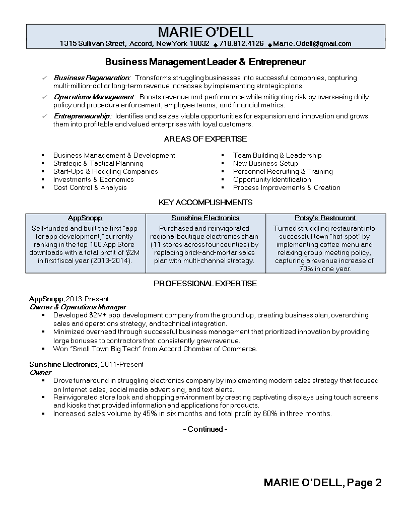 Business Owner Resume main image