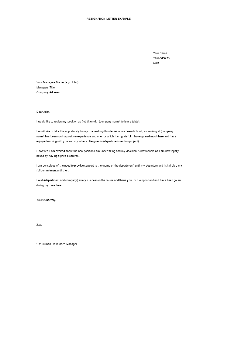 software professional resignation letter word template