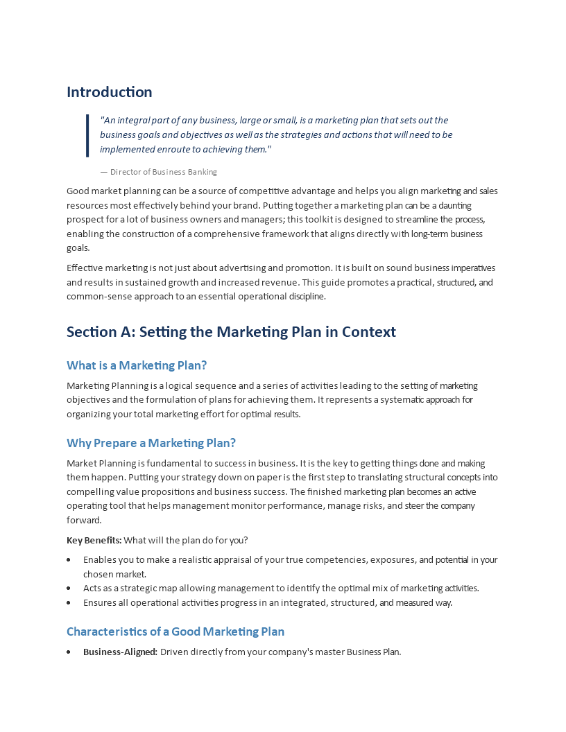 product marketing plan sample plantilla imagen principal