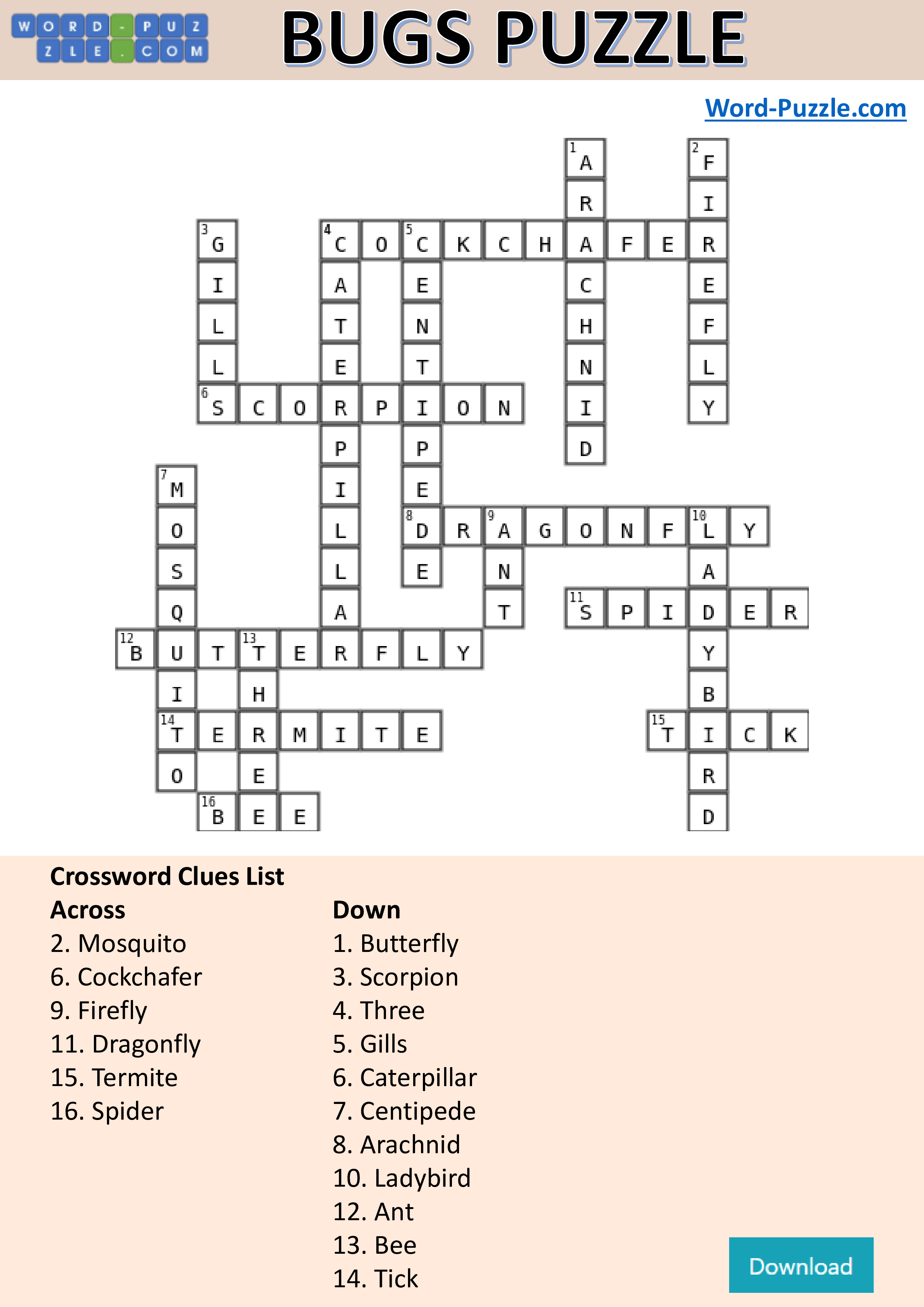 bugs crossword puzzle template Hauptschablonenbild