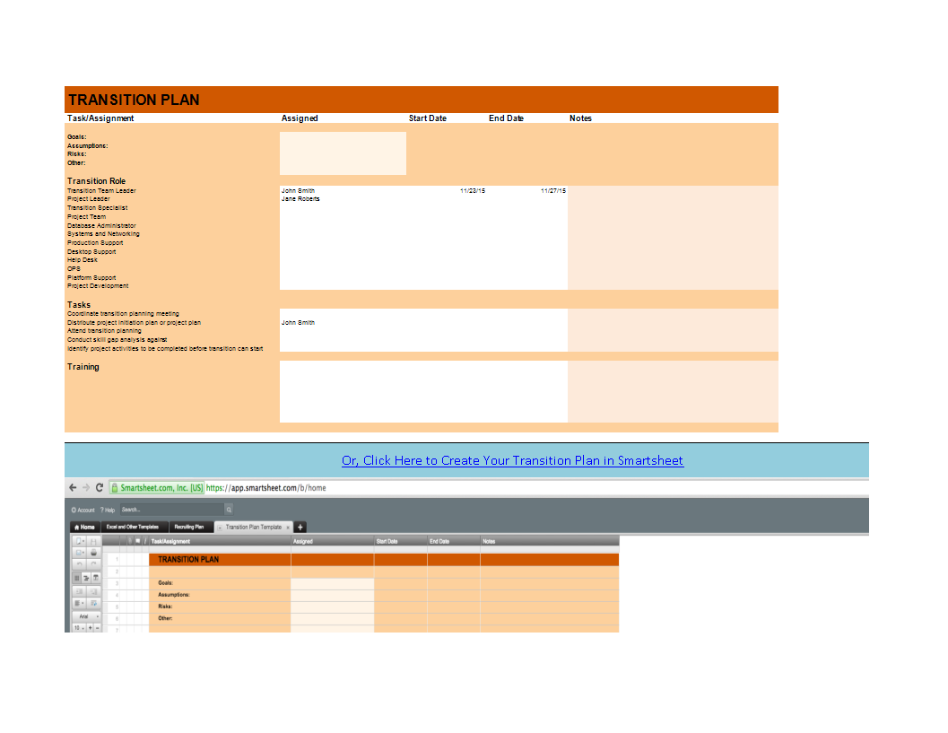 transition plan sheet in excel template