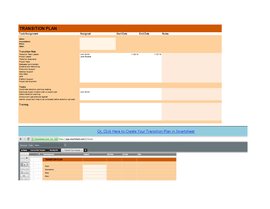 transition plan sheet in excel modèles