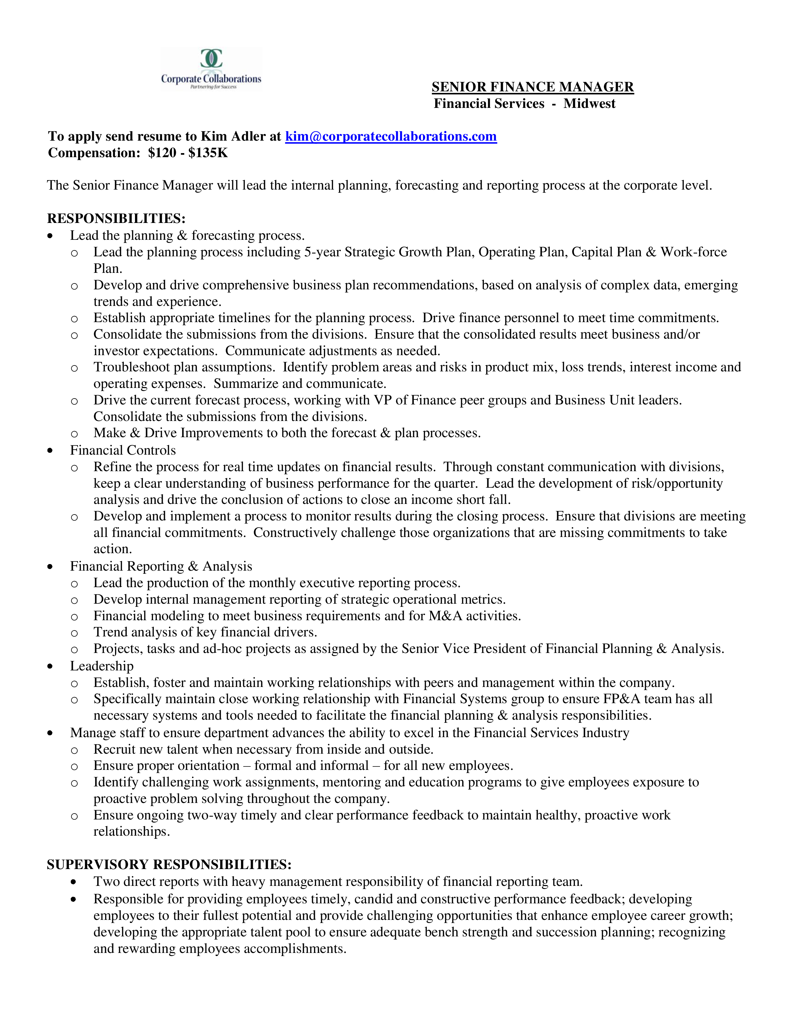 senior finance manager resume Hauptschablonenbild