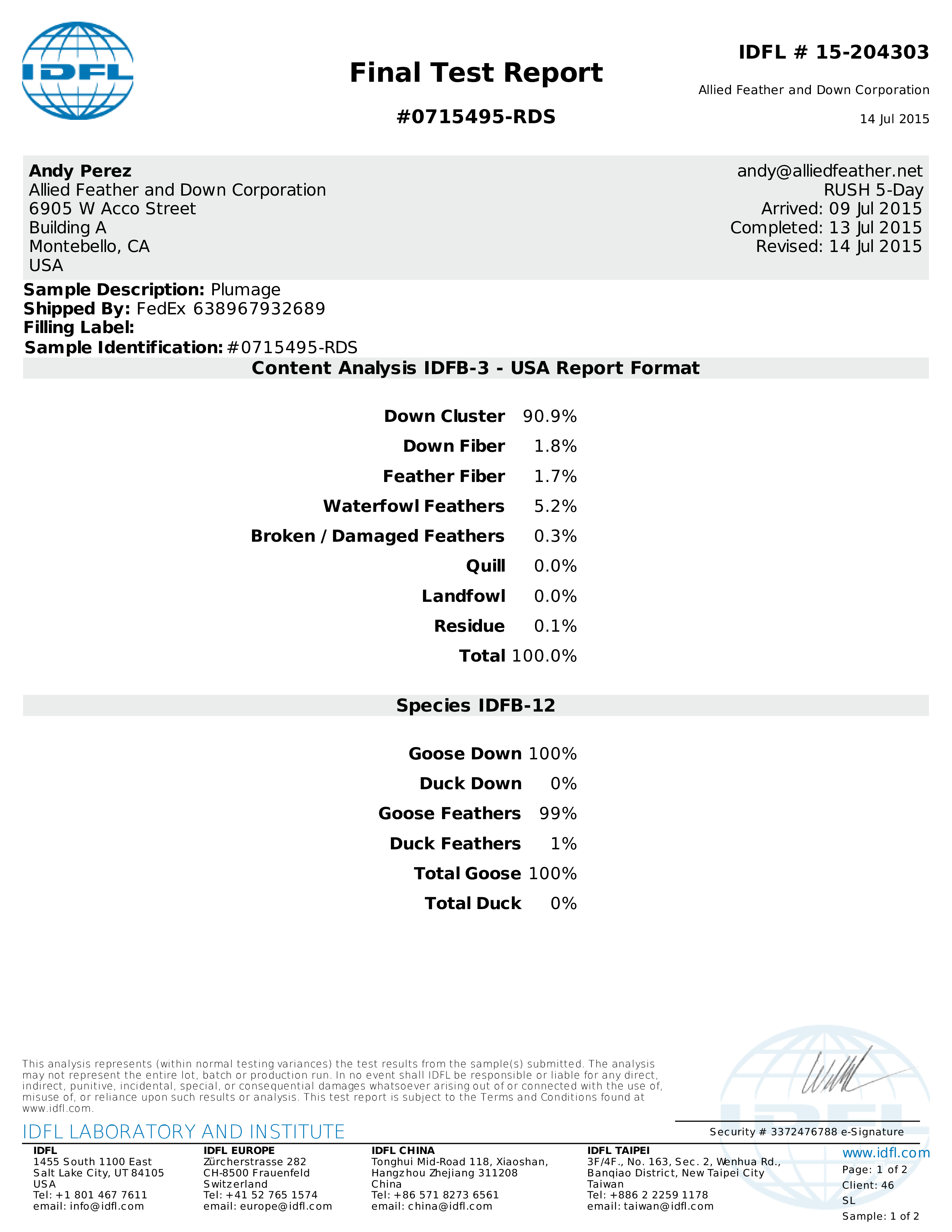 test report email modèles