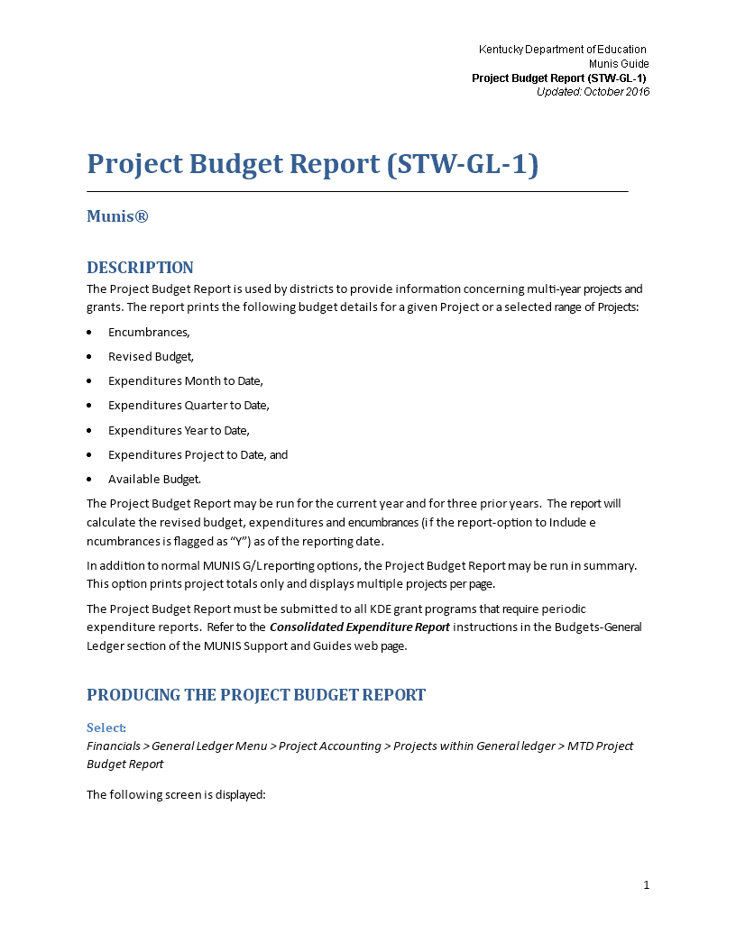Project Budget Report | Templates at allbusinesstemplates.com