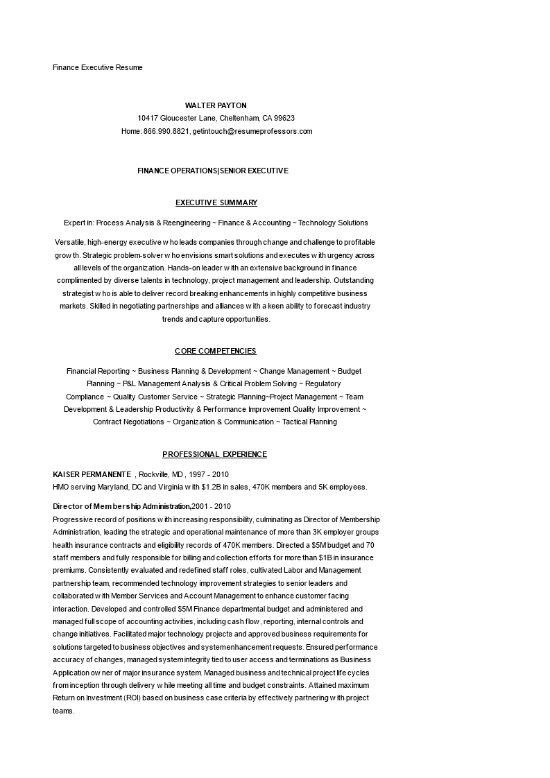 finance executive resume template