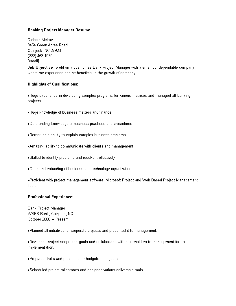 banking project manager resume Hauptschablonenbild