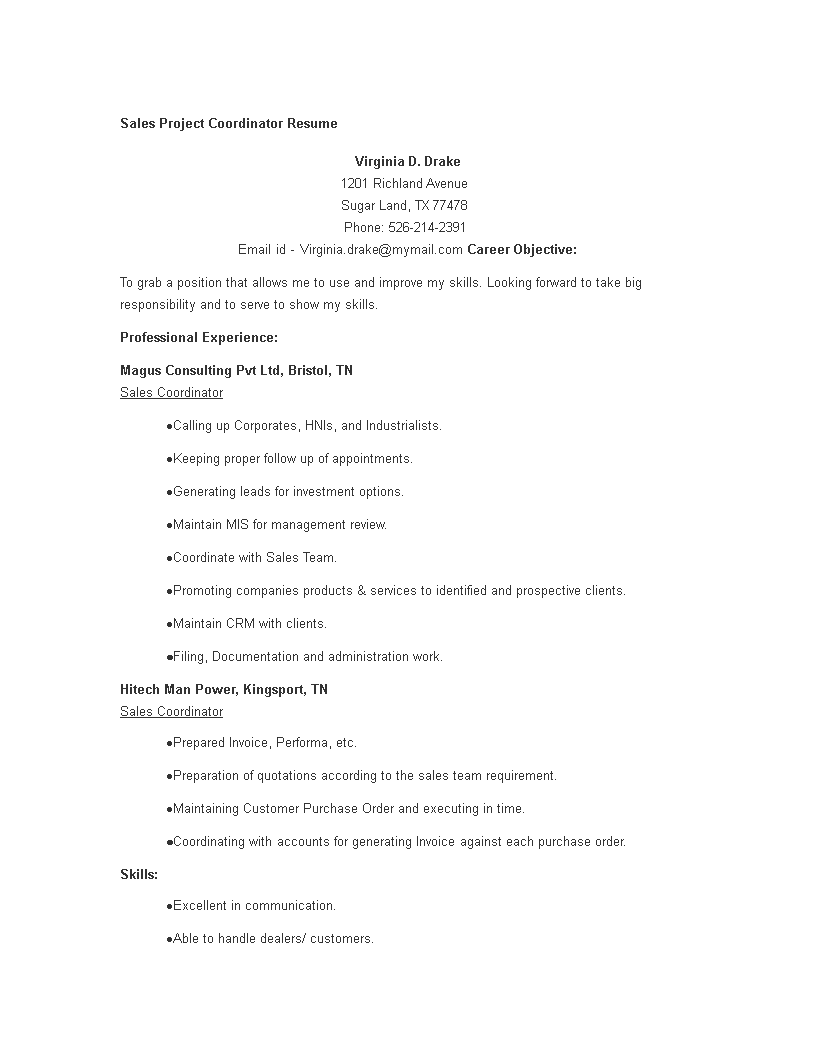 Sales Project Coordinator Resume main image