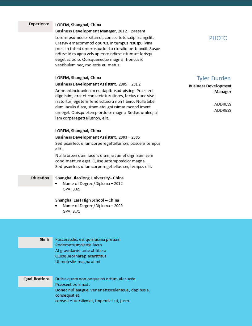 Creative Resume Business Developer 模板