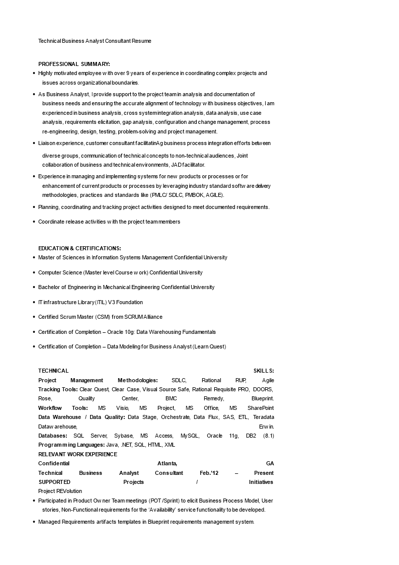 technical business analyst consultant resume plantilla imagen principal