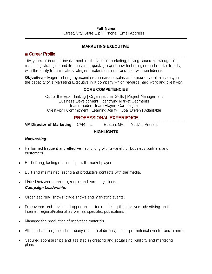 it marketing executive resume template voorbeeld afbeelding 