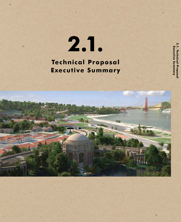 Technical Proposal Executive Summar 模板