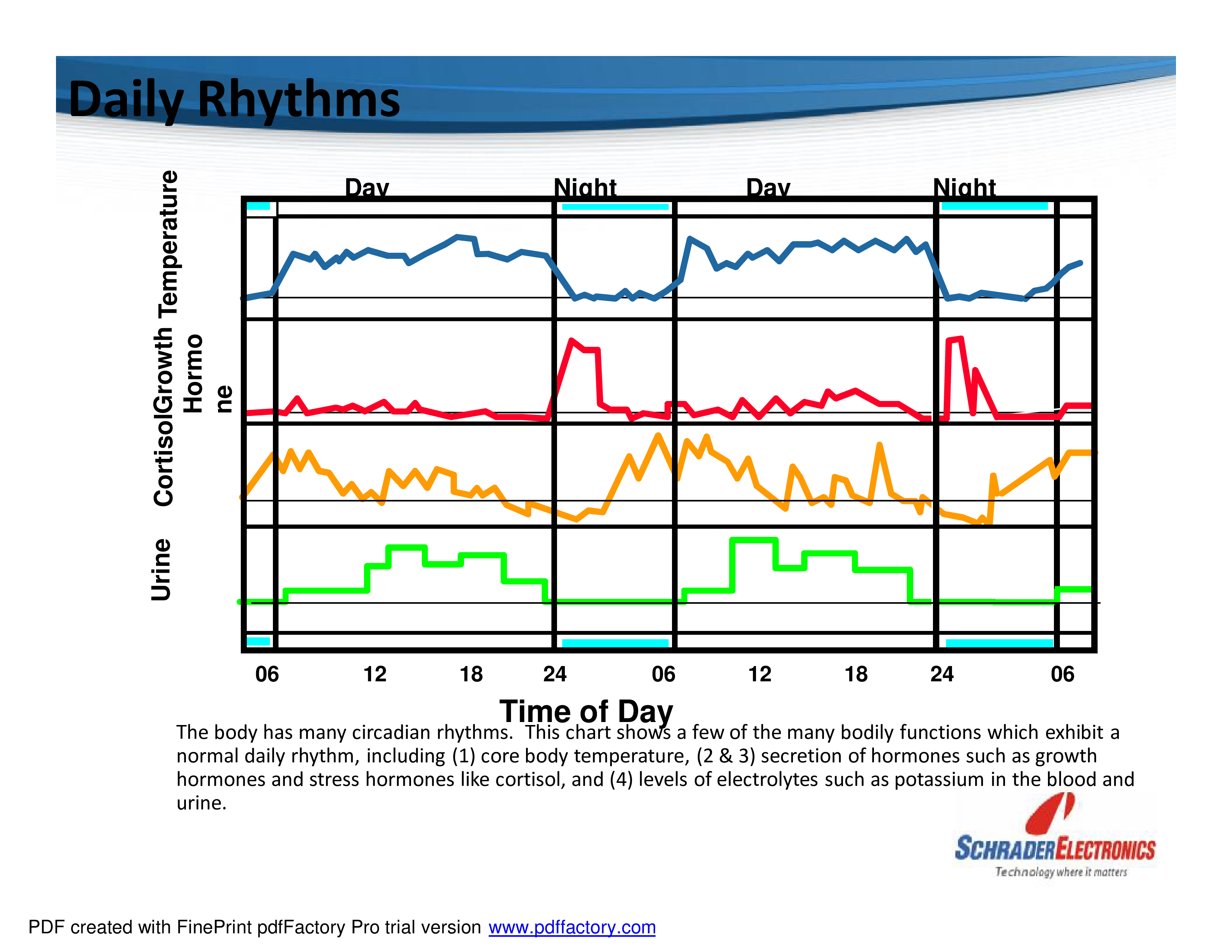 monthly work shift schedule modèles