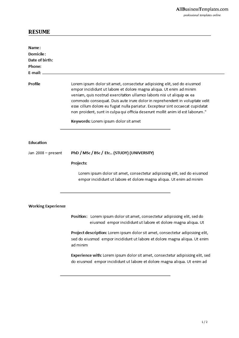 moderne resume voorbeeld Hauptschablonenbild