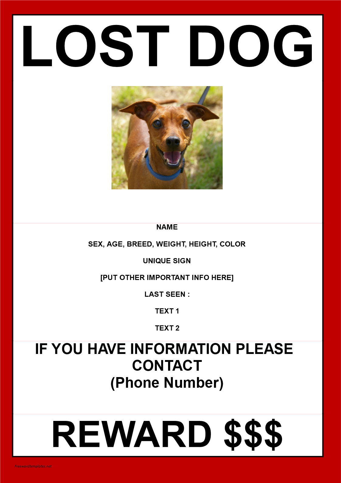 missing dog template with reward model a3 size plantilla imagen principal