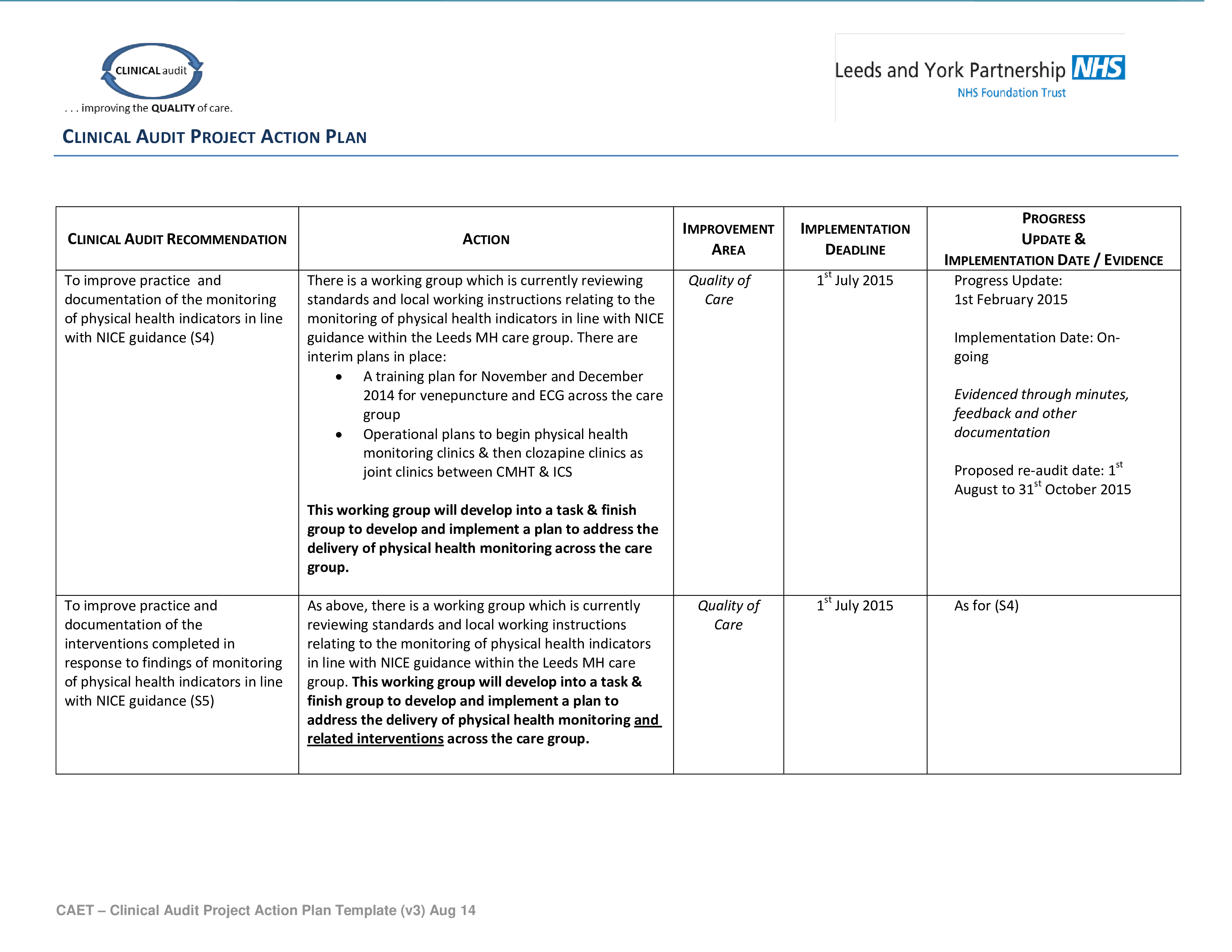 Clinical Audit Action Plan 模板