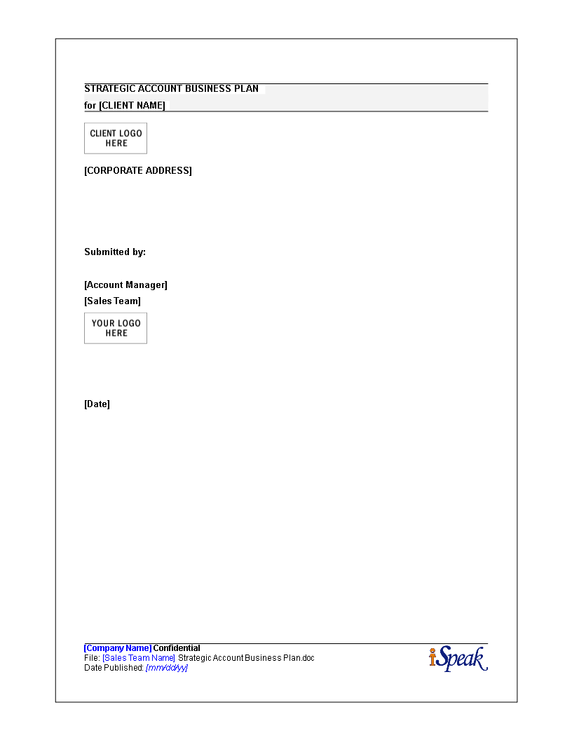 strategic account business plan template