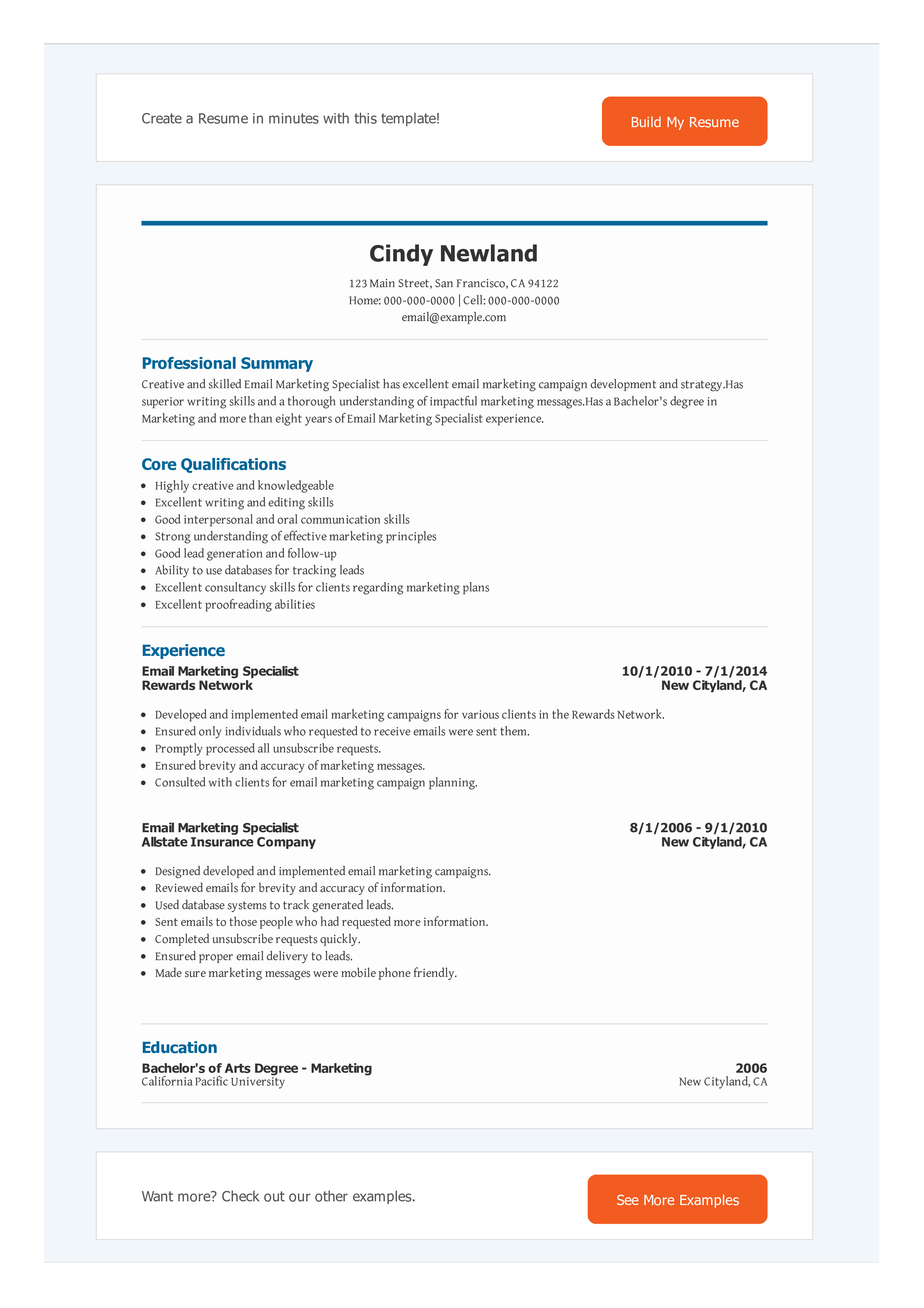 Email Marketing Campaign Resume main image
