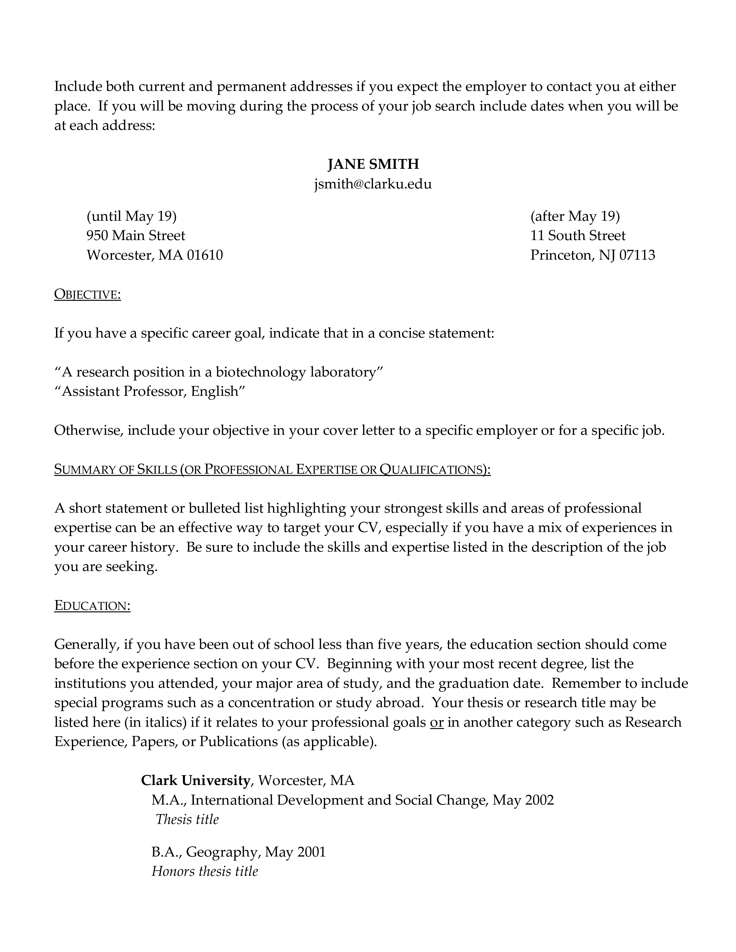 international standard cv format Hauptschablonenbild