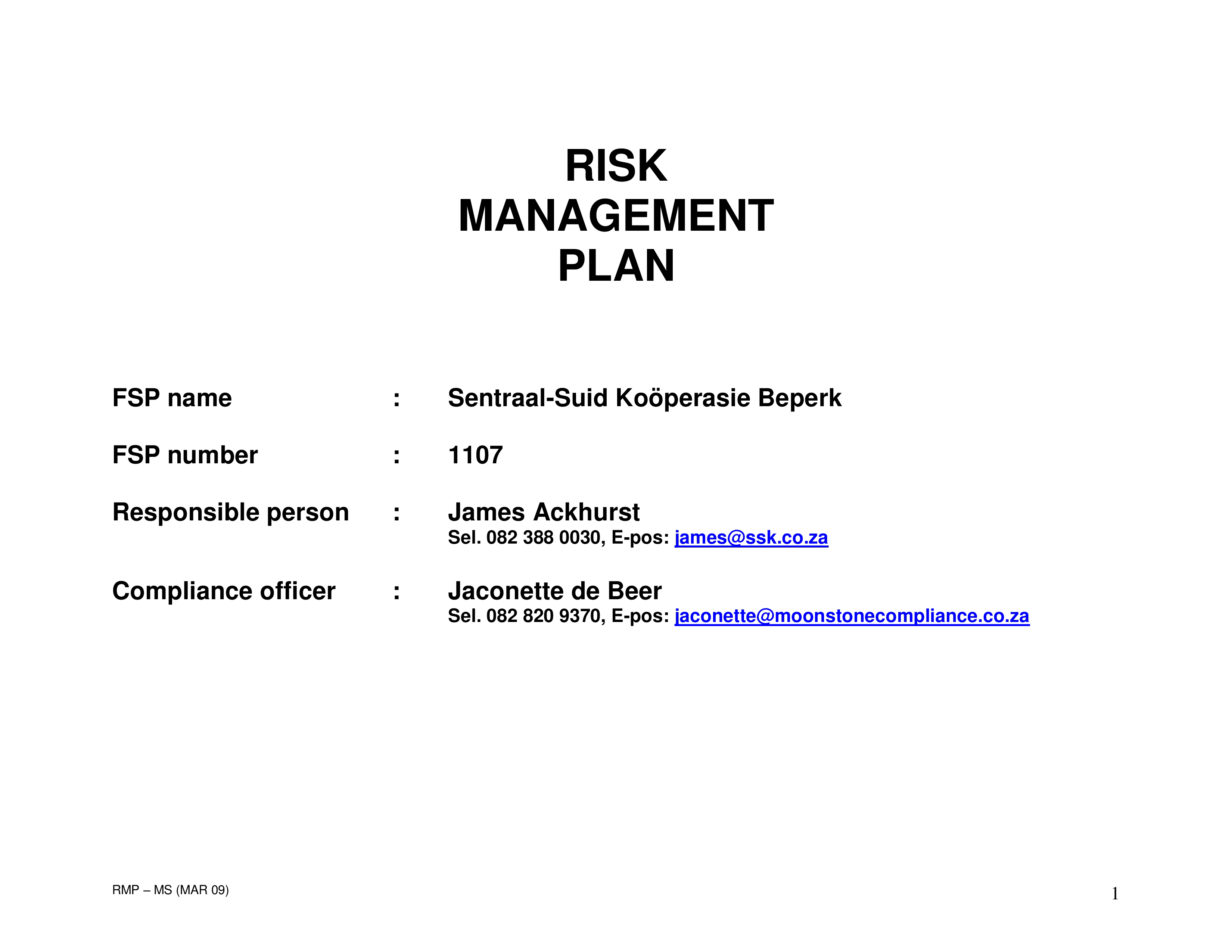 financial risk management plan modèles