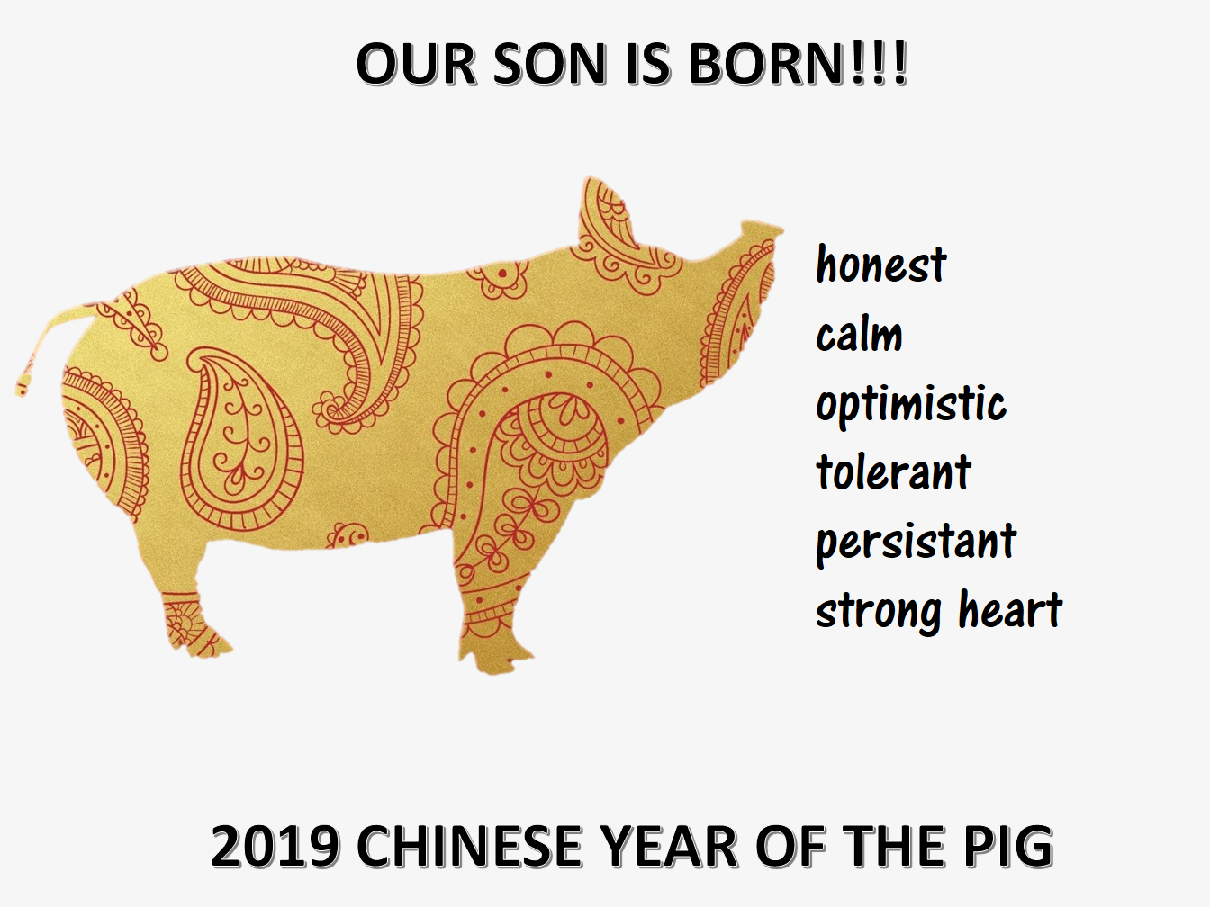 2019中国猪年儿子出生 template