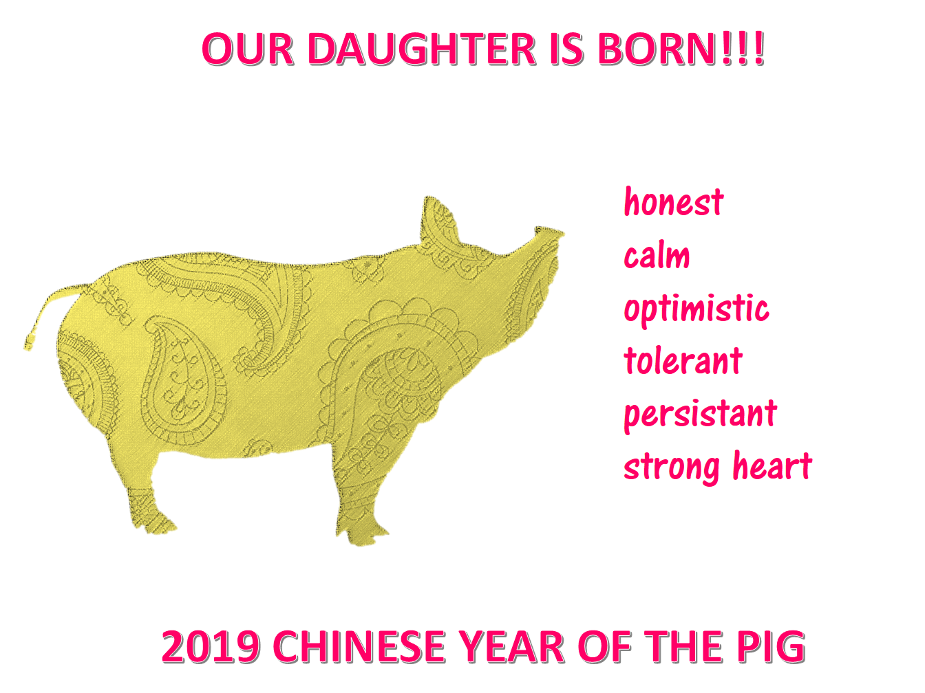 chinese new year daughter is born year pig voorbeeld afbeelding 