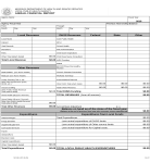 template topic preview image Financial Annual Report