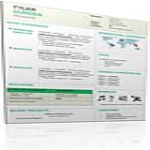 image Expatriate Resume. Expat Resume