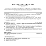 template preview imageSales Resume