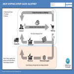 template preview imageDrop Shipping Expert Guide Blueprint