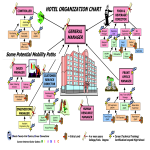 template topic preview image Large Hotel Organizational Chart