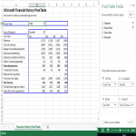 Financial History PivotTable gratis en premium templates