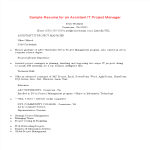 template topic preview image Assistant Project Manager Resume