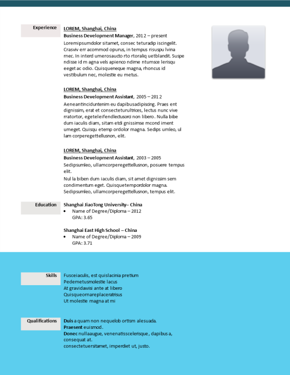 Creative Resume Business Development gratis en premium templates