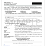 Financial Capital Analyst Resume gratis en premium templates