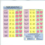 Baby Teeth Arrival Chart gratis en premium templates