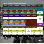 General Therapy Schedule Sample gratis en premium templates