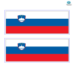 template topic preview image Slovenia Flag