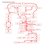 template topic preview image Arterial Blood Flow Chart