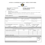 template topic preview image Commercial Bank Job Application Form