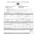 Commercial Bank Job Application Form gratis en premium templates