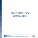 Project Management Summary Report gratis en premium templates