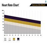 template topic preview image Heart Rate Chart Sample