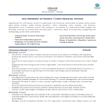 template topic preview image Chief Finance Officer Resume