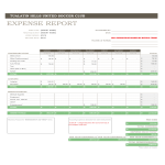 template topic preview image professional Expense Report