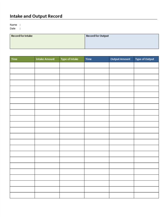 Intake and Output Chart gratis en premium templates